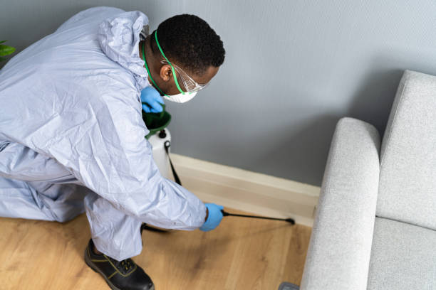 Best Pest Prevention Services  in Westville, NJ